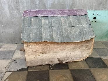 Yuvalar: Taxta it evi - Material: tamamilə taxtadan yığma karkas, üstü dalğalı — 4
