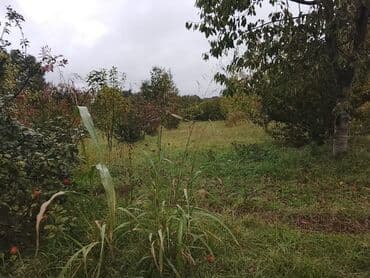 куплю дом в баку: 6 соток — 2