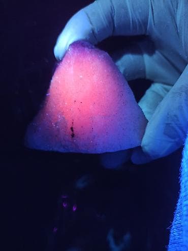 parca camadan: Xam Yaqut + Safir + Nadir Şpinel + Süd Kvarsı ? Flüoresans — 3