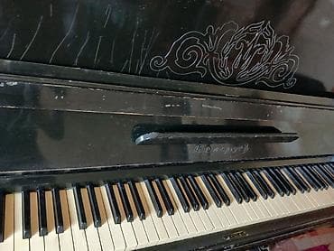 " Belarus " piano satılır
100 manat razılaşması var — 3