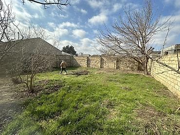 absheron: 3 sot, Tikinti, Maklerlər narahat etməsin, Kupça (Çıxarış) — 7