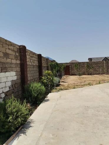 findiq ləpəsi: Qala Şüvəlan yolun üzerin de asvalt yol dan 500 metr içəridə ətraf tam — 5