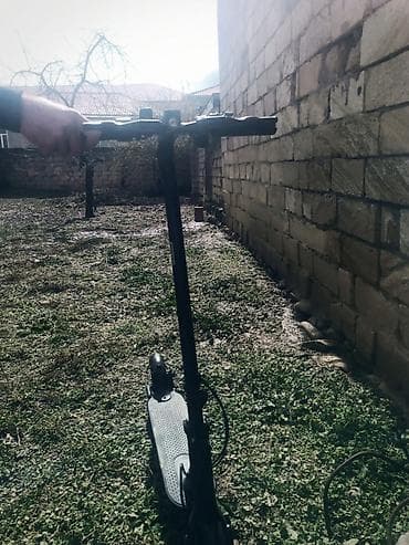 tozsoran satilir: Satılıq scooter var Yeni formadadır Orta böyüklükdədir Riley — 2