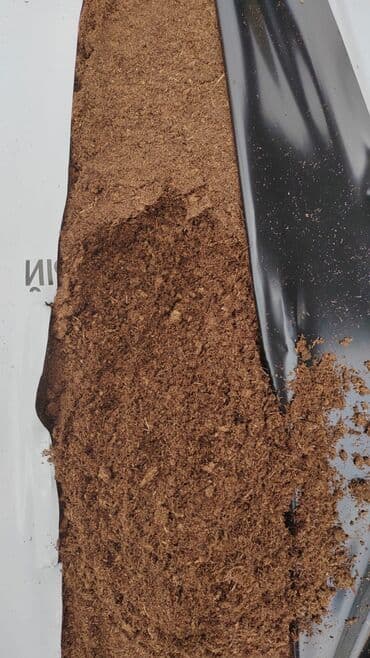 ağac satışı baki: Balaken torfu peyin ekolayf peyin peyin peyin torf250 litr torf — 22
