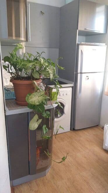 1 комнатная квартира снять: İçəri şəhər metrosunun yaxınlığında Baksovetde 5 mertebeli binanın — 5