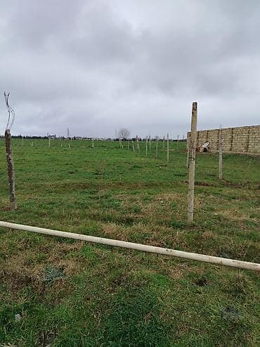 biləcəri torpaq: 8 sot, Tikinti, Mülkiyyətçi, Kupça (Çıxarış) — 10