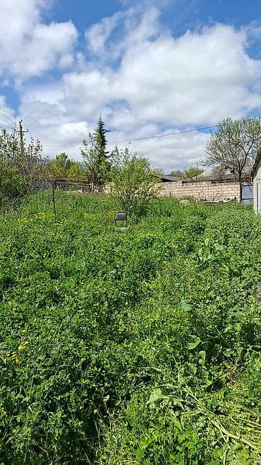 torpaq sekide: 10 sot, Kənd təsərrüfatı, Mülkiyyətçi, Bələdiyyə — 1