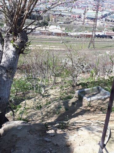 pasyolka kirovda kiraye evler 2022: Binəqədi qəs. 9 otaq, 800 kv. m, Yeni təmirli — 11
