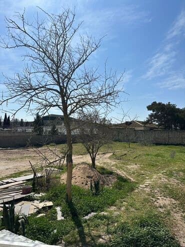 xacmaz rayonu seyidli kəndində torpaq sahəsi satılır: 5 sot, Tikinti, Makler, Kupça (Çıxarış) — 2