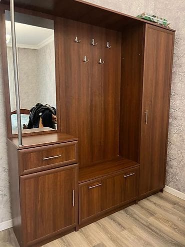 dehliz dolabi satilir: İşlənmiş, 2 qapılı, Güzgülü, Qəhvəyi, Digər material, Açılan, Düz dolab — 1