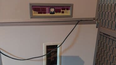 домашний инкубатор: 1100 яиц, Китай, Для всех видов птиц — 3