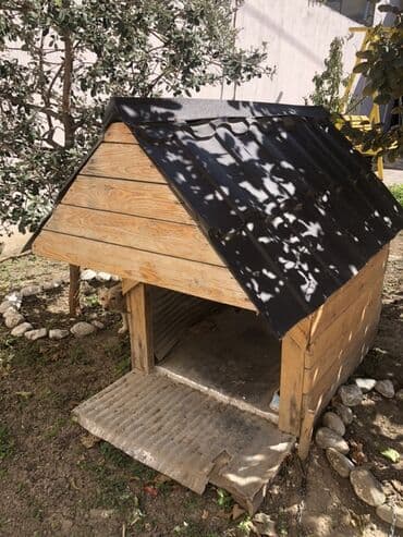 купить домик для кота: Taxta it evi - Material: Təbii taxta gövdə, ikitərəfli metal profilli — 4