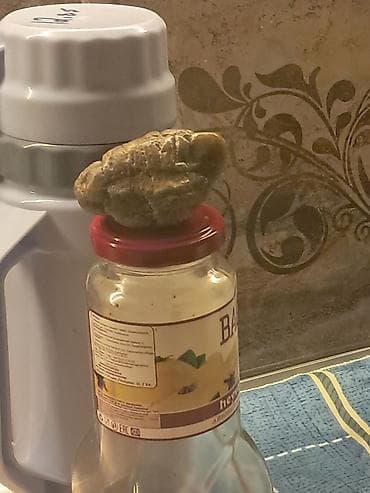 masa usdu kapter: Məhsul: Kiçik kolleksiya – dekorativ çay/kübar daşları (təxminən 8 — 4