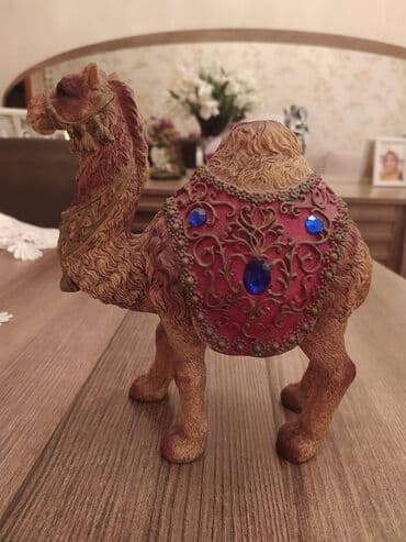 qara qarayev tibb kurslari: Deve — 1