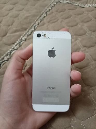IPhone 5, Gümüşü