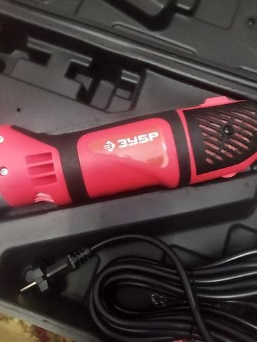 bakida it satislari: Qoyun qırxan zubr firması rus yenidən gəldi sadəcə 135 man çox istəyen — 7