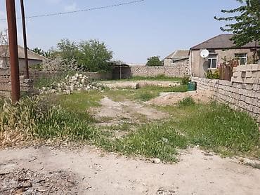 gencede torpaq: 3 sot, Bələdiyyə — 1