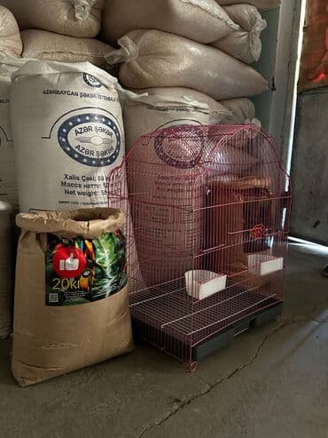 südlük inek satilir: Korella qəfəsi təzədir istifadə olunmayıb — 3