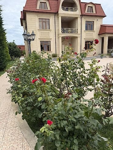 basavik satisi: 6 otaqlı, 1000 kv. m, Kredit yoxdur, Yeni təmirli — 7