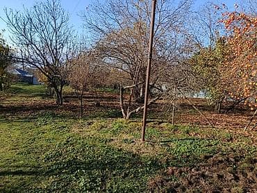 qebelede torpaq: 4 sot, Tikinti, Makler, Kupça (Çıxarış) — 3