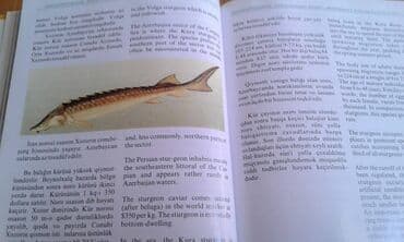 сколько стоит мотоцикл: Müxtəlif kitablar satılır. Biri 40 manat. "Nərəkimilər - dinozavrların — 9