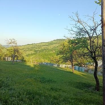 digah heyet evleri: Tikinti — 3