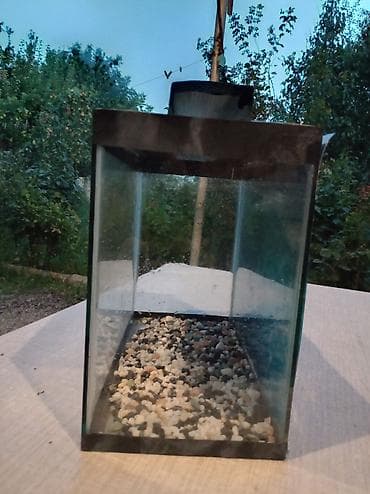 teze bazar akvarium: Akvaryum dəsti - Şüşə akvaryum, düzbucaqlı forma - Təxmini ölçülər — 2