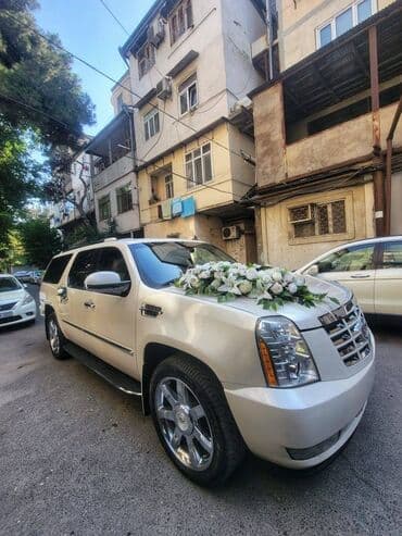 faizsiz kreditlə maşın: Cadillac Escalade toy nişan və digər tədbirlər üçün sifariş edə — 7