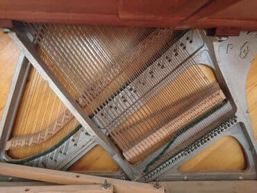 CD, DVD disklər və kassetlər: Sintezator, Belarus, İşlənmiş, Ünvandan götürmə — 2