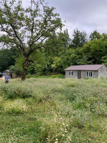 memar ecemi kiraye ev: Tikinti, Mülkiyyətçi — 2