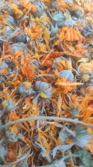 Digər bitkilər: Bütün növ yerli və xaricdən gəlmə bitkilərin topdan satışı Çərəz — 5