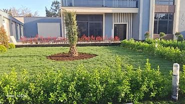 iç dizayn ev: Peşəkar landşaft dizaynı və yaşıllaşdırma xidməti - Həyət və bağların — 4