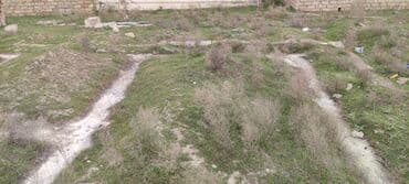 xirdalan mehdi huseynzade: 3 sot, Kənd təsərrüfatı, Mülkiyyətçi, Kupça (Çıxarış) — 5