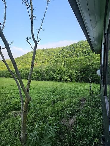 qebele torpaq sahesi: 50 kv. m, 3 otaqlı, Hovuzsuz, İşıq, Su, İnternet — 5