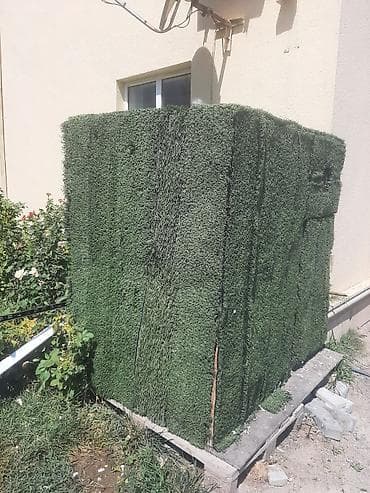 pişik yuvaları: Tecili satilir cidii insan narahat etsin isteyen olsa wap catda — 2