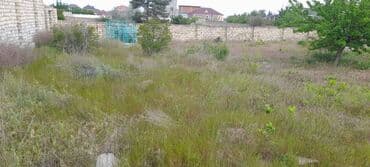 qaxda torpaq ve ev elanlari: 10 sot, Tikinti, Makler, Kupça (Çıxarış) — 4