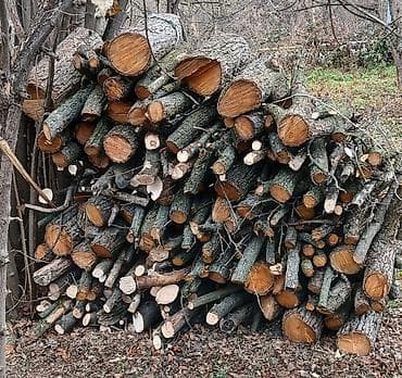 Baklar və çənlər: Ocaq/isitmə üçün doğranmış odun - Ağac növü: sərt ağac qarışığı — 1