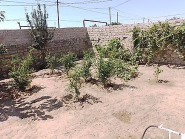 ismayıllı günlük ev: Digah, 80 kv. m, 4 otaqlı, Hovuzsuz, Qaz, İşıq, Kanalizasiya — 10