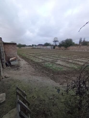 Subaru: 24 соток — 5