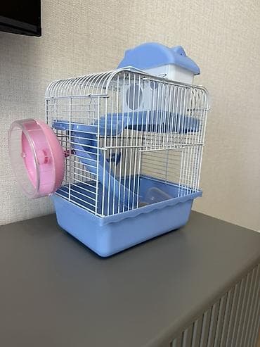 bala it: Kiçik gəmiricilər (hamster, siçança və s.) üçün uyğun, daxili yollar — 5