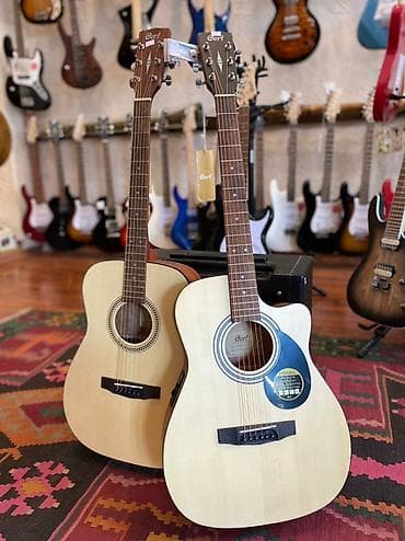 çətir qiyməti: Bəzi müştərilər natural rəngli gitaralara üstünlük verirlər. Buna görə — 1