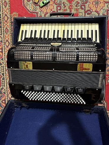 Fleytalar: Akustik Akkordeon — 5