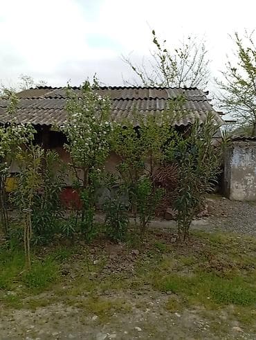 аренда дачи в баку посуточно: 145 м², 4 комнаты, Водопровод — 2