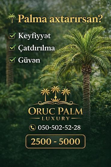 meyvə ağaclarının satışı: Palma palma palma satışı Vaşinqton palmalari bütün razmerler ən ucuz — 3