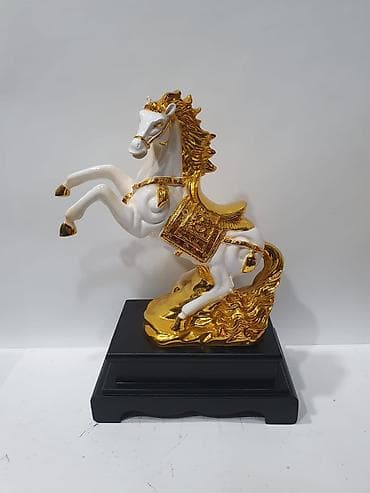 Otaq bitkiləri: Fiqur — 9