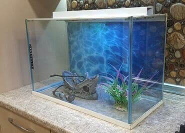 Dördbucaq akvarium, Boş, 70 l