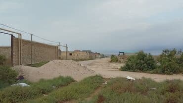 sulutəpə çiçək qəsəbəsi: 5 sot, Kənd təsərrüfatı, Kupça (Çıxarış) — 7