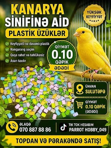 mal qara: Məhsul: Kanarya sinifinə aid plastik üzüklər - Keyfiyyətli və davamlı — 1