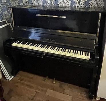 инстасамка концерт баку: Пианино, Беларусь, Акустический, Б/у, Самовывоз — 3