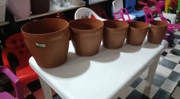 kaybolan yıllar 50: Dibcek Dibcek qabi yumru aq rengli gul.qabi yumru aq rengli dibcek — 29